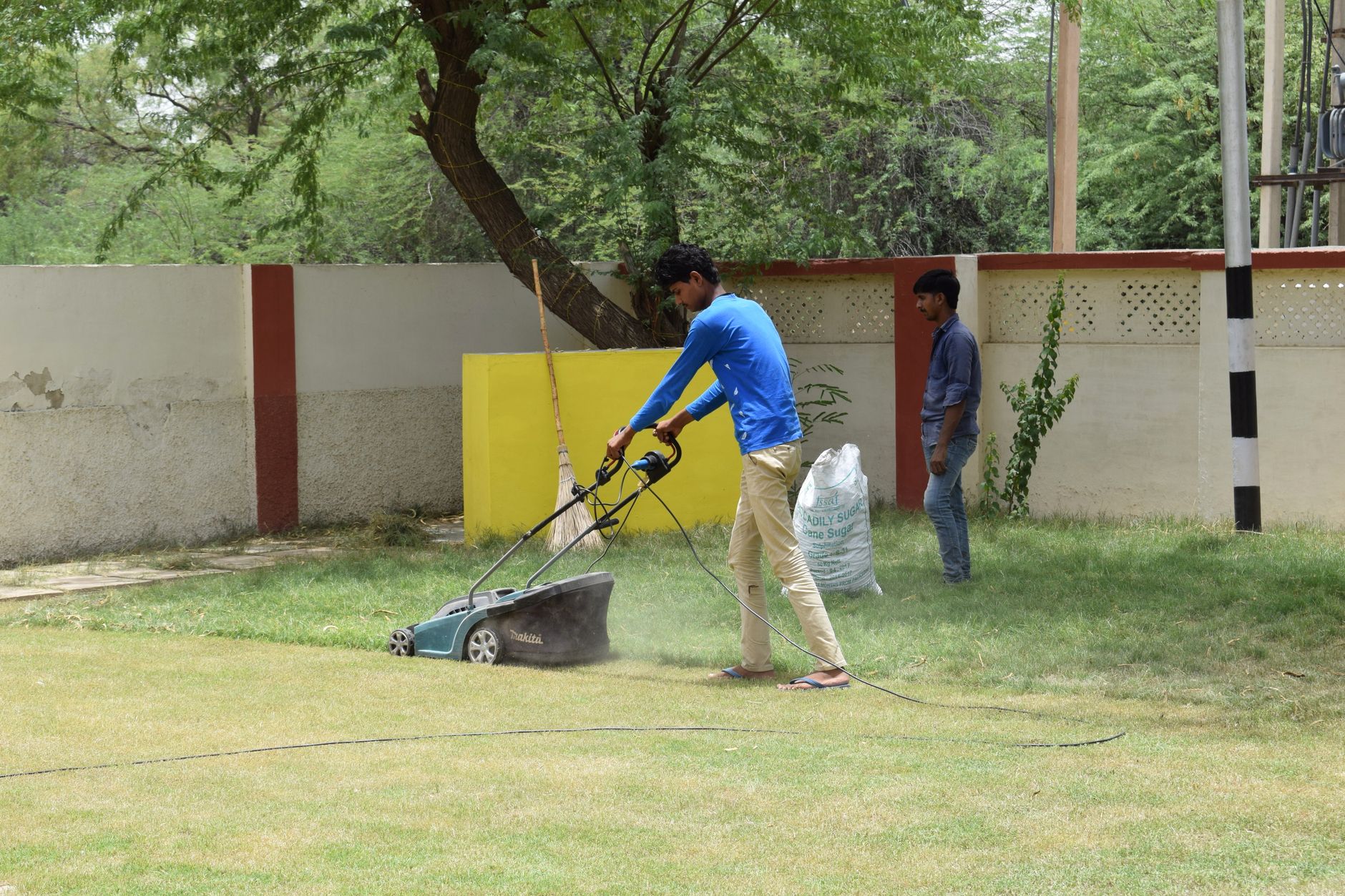 electric lawn mower small garden