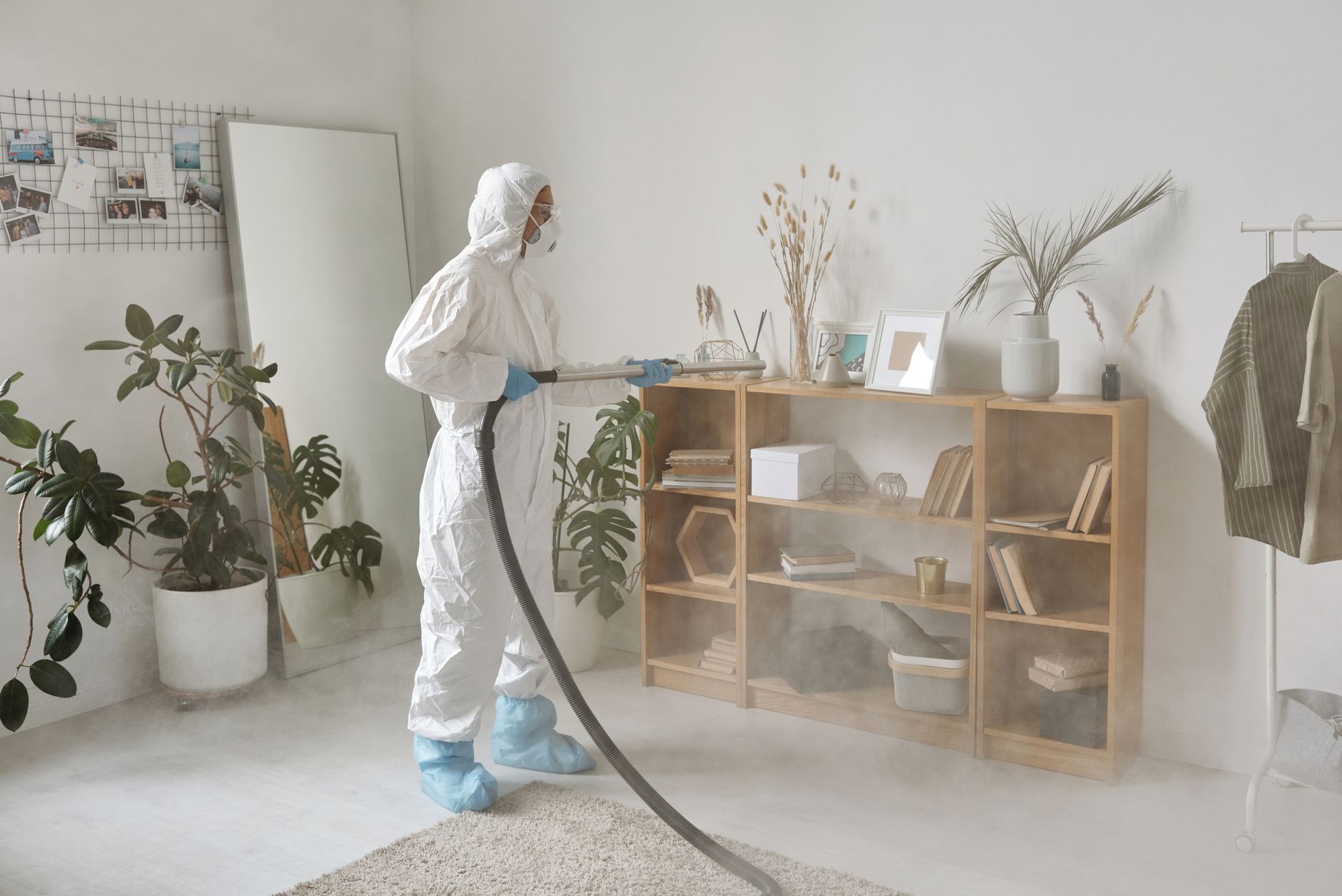 Purificador de aire: 5 modelos que de verdad limpian tu casa